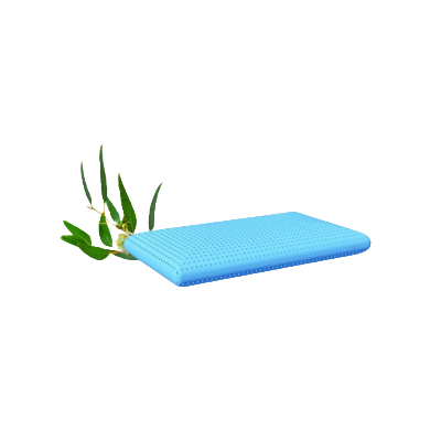 Schlaf- und Duftkissen - Eukalyptus + Gratis Baumwollüberzug bei Outletpreise.com online bestellen
