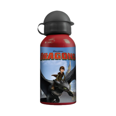 Trinkflasche Dragons - Aluminium (400ml)