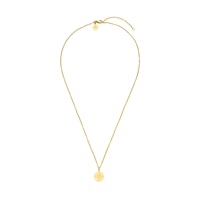 PURELEI Compass Kette - Gold bei Outletpreise.com online bestellen